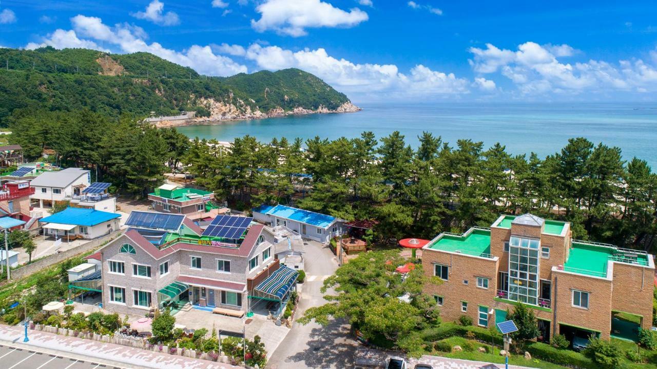 삼척 솔비치 펜션 외부 사진